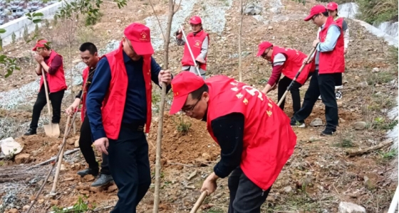 村企共建，共植先锋林